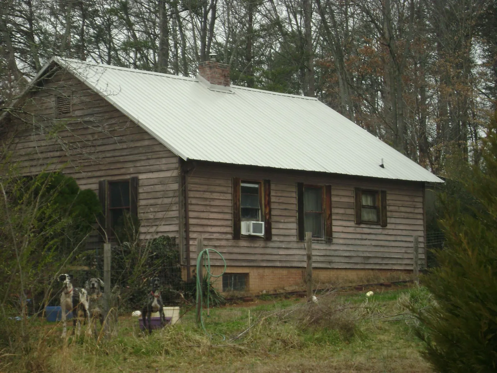 White metal roof on an old wood sided farmhouse, from a Asphalt Shingle Roof Repair job in Walcott